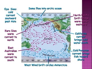 Oya Siwo:
cold
current
soutward
past Asia
Kuro Siwo
warm
current to
north
East
Australian
warm
current to
south
West Wind Drift circles Antarctcia
Cold Peruvian
current brings
fish toward
shore
California
current
brings cold
water south
North Pacific
Drift brings
warm water
eastward
Some flow into arctic ocean
 