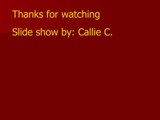 Thanks for watching Slide show by: Callie C.