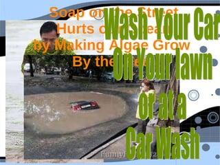 Soap on the Street Hurts our Ocean by Making Algae Grow  By the  Feet Wash  Your Car  On Your lawn or at a Car Wash 