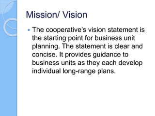 Vision/ Mission
 Individual work
– setting up MISSION of cooperative
Activity4:
 