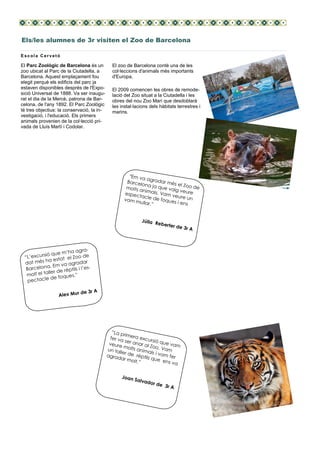 El Parc Zoològic de Barcelona és un
zoo ubicat al Parc de la Ciutadella, a
Barcelona. Aquest emplaçament fou
elegit perquè els edificis del parc ja
estaven disponibles després de l'Expo-
sició Universal de 1888. Va ser inaugu-
rat el dia de la Mercè, patrona de Bar-
celona, de l'any 1892. El Parc Zoològic
té tres objectius: la conservació, la in-
vestigació, i l'educació. Els primers
animals provenien de la col·lecció pri-
vada de Lluís Martí i Codolar.
El zoo de Barcelona conté una de les
col·leccions d'animals més importants
d'Europa.
El 2009 comencen les obres de remode-
lació del Zoo situat a la Ciutadella i les
obres del nou Zoo Marí que desdoblarà
les instal·lacions dels hàbitats terrestres i
marins.
“Em va agradar més el Zoo de
Barcelona ja que vaig veure
molts animals. Vam veure un
espectacle de foques i ens
vam mullar.”
Júlia Reberter de 3r A
“L’excursió que m’ha agra-
dat més ha estat el Zoo de
Barcelona. Em va agradar
molt el taller de rèptils i l’es-
pectacle de foques.”
Alex Mur de 3r A
“La primera excursió que vam
fer va ser anar al Zoo. Vam
veure molts animals i vam fer
un taller de rèptils que ens va
agradar molt.”
Joan Salvador de 3r A
Els/les alumnes de 3r visiten el Zoo de Barcelona
E scola Cervetó
 
