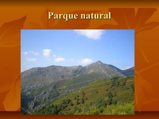Parque naturalParque natural
 