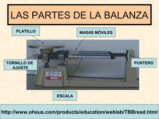 LAS PARTES DE LA BALANZA
PLATILLO MASAS MÓVILES
PUNTERO
ESCALA
TORNILLO DE
AJUSTE
http://www.ohaus.com/products/education/weblab/TBBread.html
 