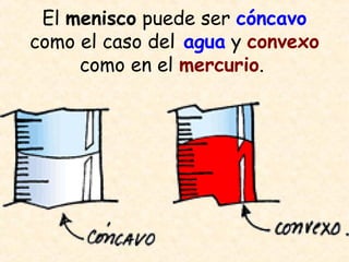 El menisco puede ser cóncavo
como el caso del agua y convexo
como en el mercurio.
 