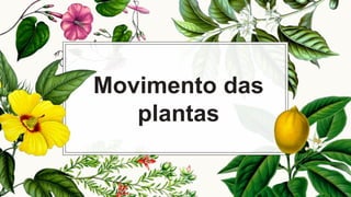 Movimento das
plantas
 