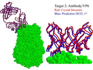 Target 2: Antibody/VP6
Red: Crystal Structure
Blue: Prediction 50/52; 1st
 
