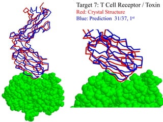 Target 7: T Cell Receptor / Toxin
Red: Crystal Structure
Blue: Prediction 31/37, 1st
 