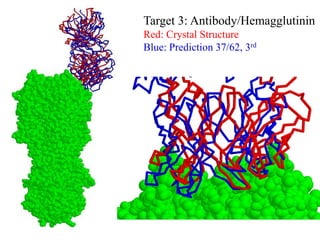 Target 3: Antibody/Hemagglutinin
Red: Crystal Structure
Blue: Prediction 37/62, 3rd
 