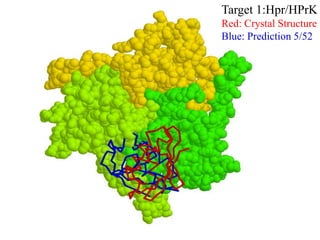 Target 1:Hpr/HPrK
Red: Crystal Structure
Blue: Prediction 5/52
 