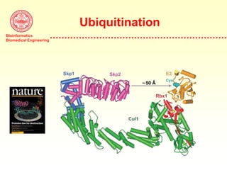Bioinformatics
Biomedical Engineering
Ubiquitination
 
