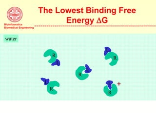 Bioinformatics
Biomedical Engineering
The Lowest Binding Free
Energy G
water
R
L
R
L
L
R
L
R
L
R
 