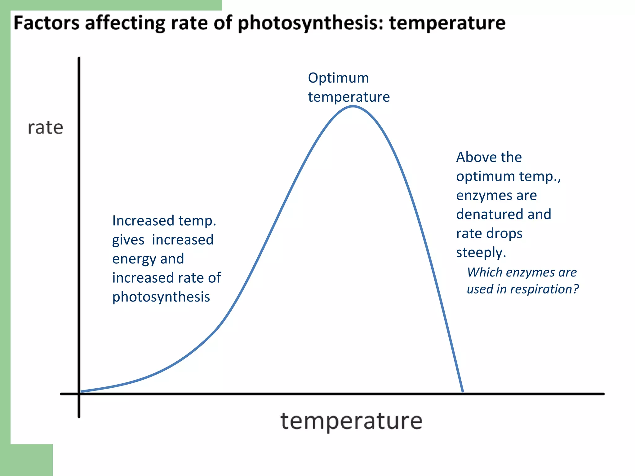 Increased temp. gives  increased energy and increased rate of photosynthesis Optimum temperature Above the optimum temp., enzymes are denatured and rate drops steeply.  Which enzymes are used in respiration?  