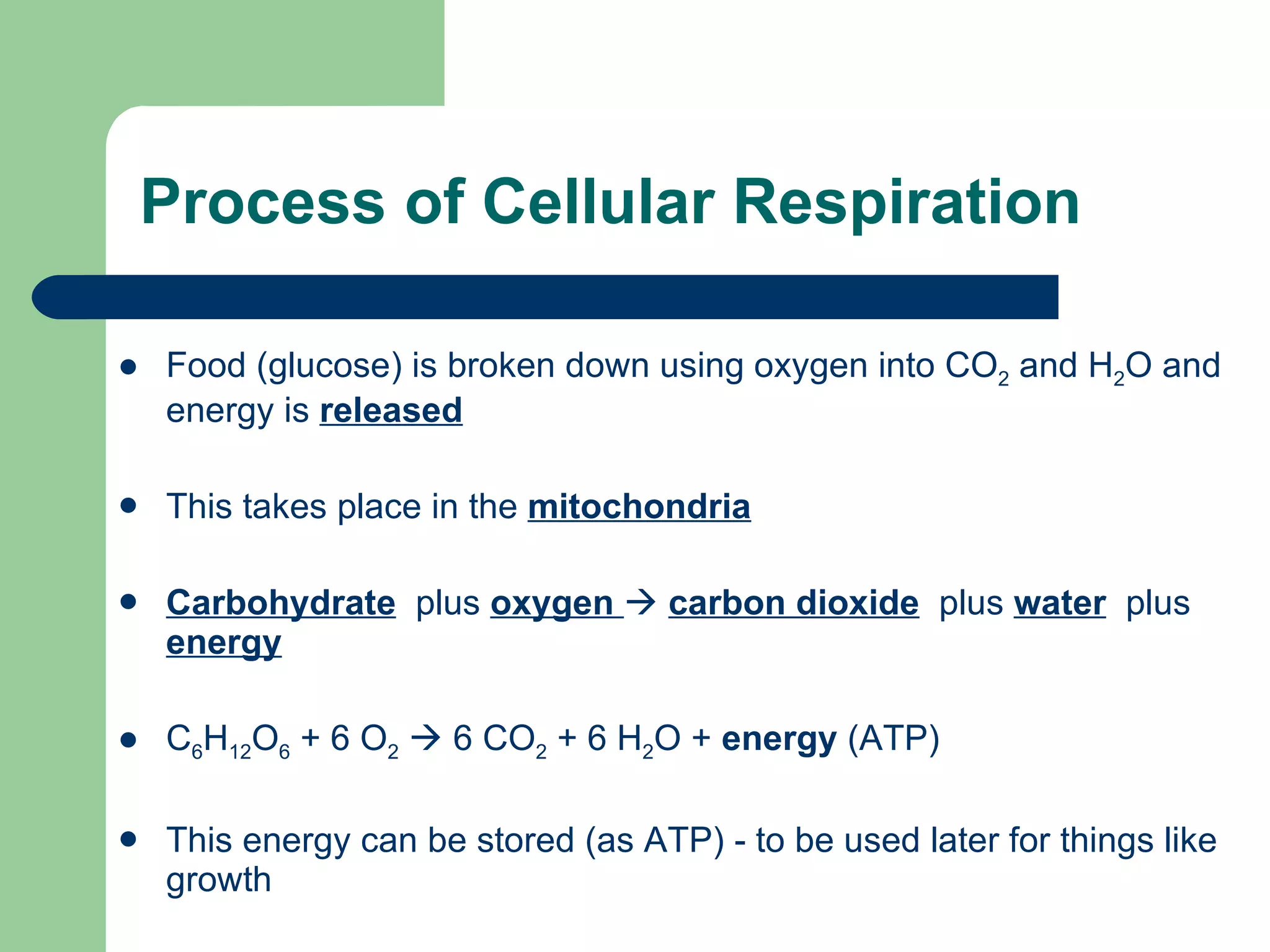 Process of Cellular Respiration Food (glucose) is broken down using oxygen into CO 2  and H 2 O and energy is  released This takes place in the  mitochondria Carbohydrate   plus  oxygen     carbon dioxide   plus  water   plus  energy C 6 H 12 O 6  + 6 O 2     6 CO 2  + 6 H 2 O +  energy  (ATP) This energy can be stored (as ATP) - to be used later for things like growth 
