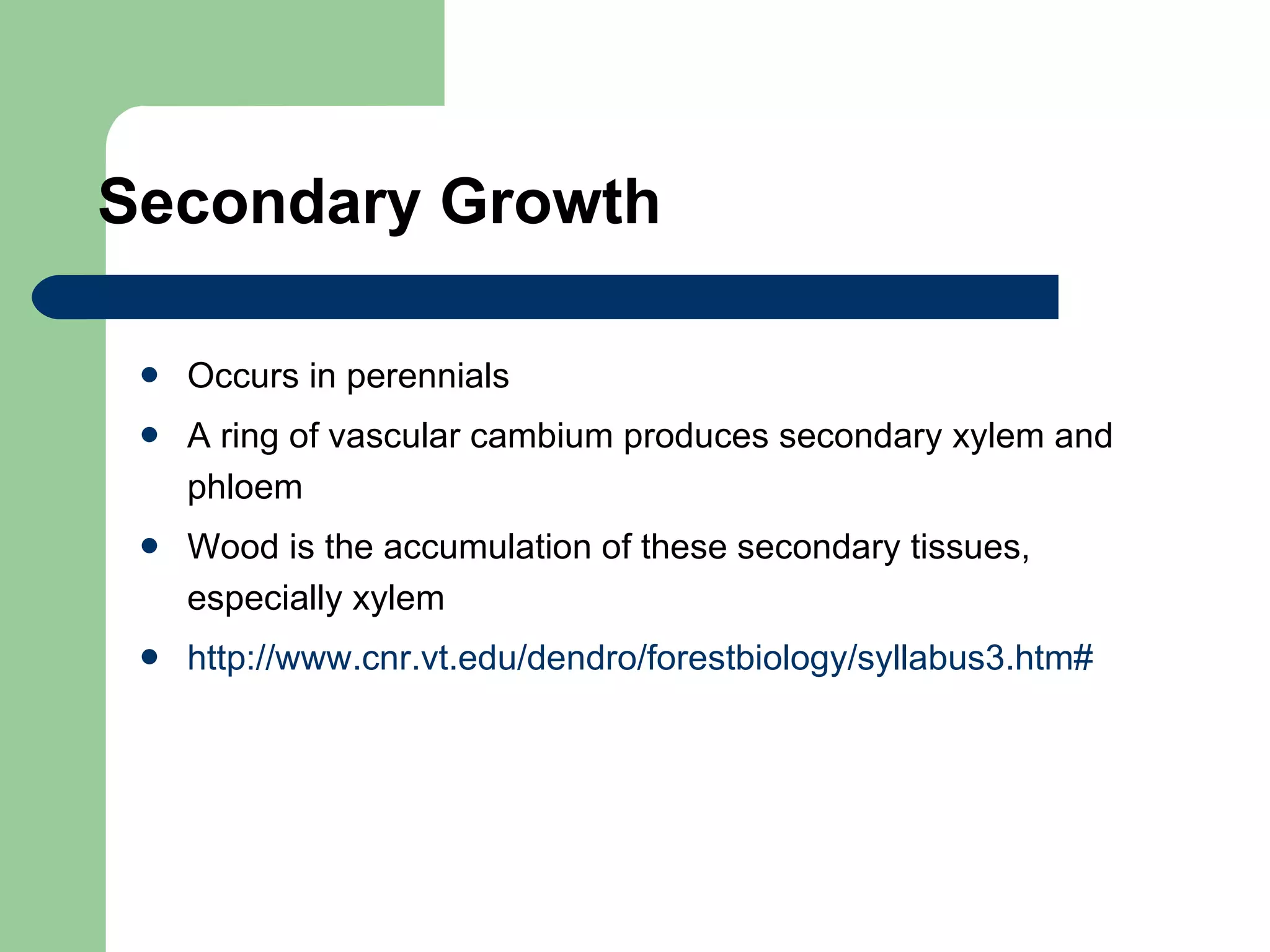 Secondary Growth Occurs in  perennials A ring of vascular cambium produces secondary xylem and phloem Wood is the accumulation of these secondary tissues, especially xylem http://www.cnr.vt.edu/dendro/forestbiology/syllabus3.htm#   