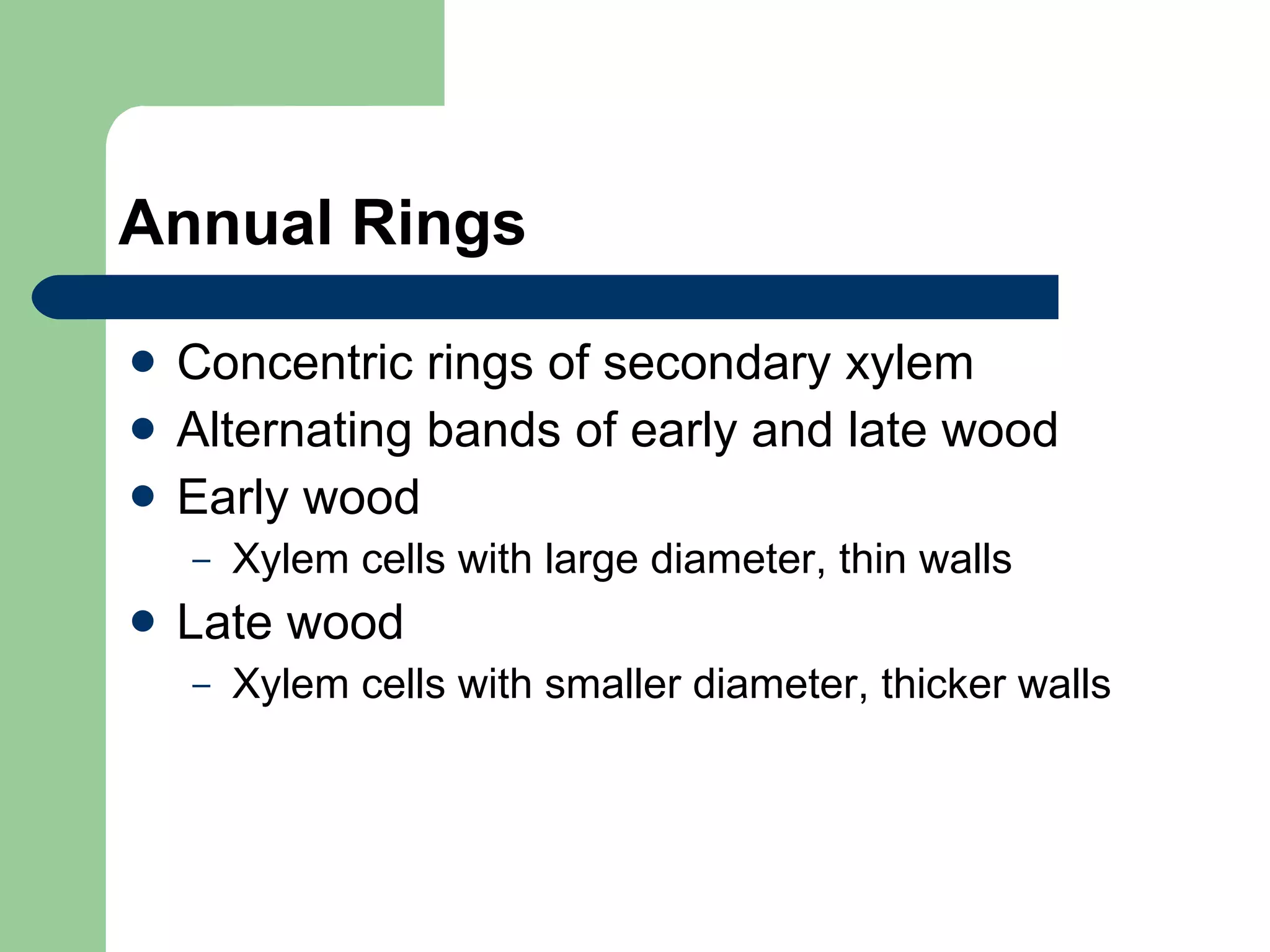Annual Rings Concentric rings of secondary xylem Alternating bands of early and late wood Early wood Xylem cells with large diameter, thin walls Late wood Xylem cells with smaller diameter, thicker walls  
