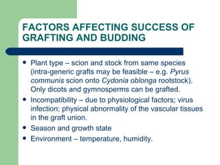FACTORS AFFECTING SUCCESS OF GRAFTING AND BUDDING  Plant type – scion and stock from same species (intra-generic grafts may be feasible – e.g.  Pyrus communis  scion onto  Cydonia oblonga  rootstock).  Only dicots and gymnosperms can be grafted. Incompatibility – due to physiological factors; virus infection; physical abnormality of the vascular tissues in the graft union. Season and growth state Environment – temperature, humidity. 