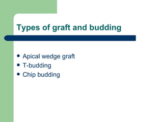 Types of graft and budding Apical wedge graft T-budding Chip budding 
