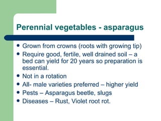 Perennial vegetables - asparagus Grown from crowns (roots with growing tip) Require good, fertile, well drained soil – a bed can yield for 20 years so preparation is essential. Not in a rotation All- male varieties preferred – higher yield Pests – Asparagus beetle, slugs Diseases – Rust, Violet root rot. 