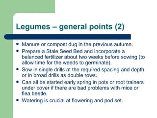 Legumes – general points (2) Manure or compost dug in the previous autumn. Prepare a Stale Seed Bed and incorporate a balanced fertilizer about two weeks before sowing (to allow time for the weeds to germinate). Sow in single drills at the required spacing and depth or in broad drills as double rows. Can all be started early spring in pots or root trainers under cover if there are bad problems with mice or flea beetle.  Watering is crucial at flowering and pod set.  