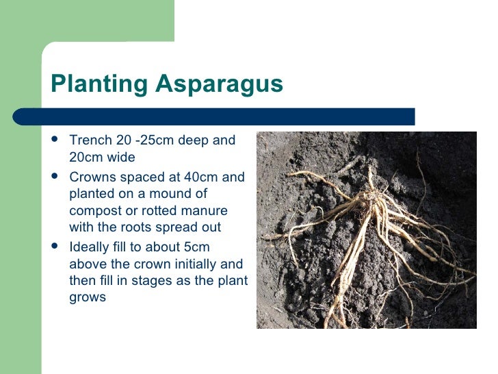 RHS Level 2 certificate Year 1 Week 20