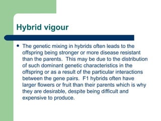 Hybrid vigour The genetic mixing in hybrids often leads to the offspring being stronger or more disease resistant than the parents.  This may be due to the distribution of such dominant genetic characteristics in the offspring or as a result of the particular interactions between the gene pairs.  F1 hybrids often have larger flowers or fruit than their parents which is why they are desirable, despite being difficult and expensive to produce. 