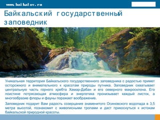 Байк альск ий г осударственный
заповедник
Уникальная территория Байкальского государственного заповедника с радостью примет
осторожного и внимательного к красотам природы путника. Заповедник охватывает
центральную часть горного хребта Хамар-Дабан и его северного макросклона. Его
поистине потрясающая атмосфера и энергетика пронизывает каждый листок, а
многообразие флоры и фауны поражает воображение.
Заповедник подарит Вам радость созерцания знаменитого Осиновского водопада в 3,5
метра высотой, познакомит с живописными тропами и даст прикоснуться к истокам
байкальской природной красоты.
www. bai kal ov. ru
 