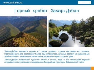 -Горный хребет Хамар Дабан
Хамар-Дабан является одним из самых древних горных массивов на планете.
Протяжённость его составляет более 350 километров, которые состоят из живописных
зелёных сопок, уникальных реликтовых деревьев и ярких горных трав.
Хамар-Дабан привлекает туристов зимой и летом, ведь с его небольших вершин
открывается потрясающая панорама на бескрайние просторы байкальской тайги!
www.baikalov.ru
 