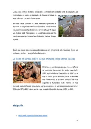 10
La ausencia del ruido del tráfico en las calles permite oír con claridad el canto de los pájaros. La
no circulación de barcos en los canales de Venecia se traduce en
agua más clara y la aparición de peces.
En otros casos, como en el Caribe mexicano, ejemplares de
especies en peligro de extinción se acercan a zonas urbanas,
incluso enhoteles de lujo de Cancún y la Riviera Maya. Un jaguar,
una tortuga laúd, hocofaisanes y cocodrilos pasean por las
carreteras desiertas, lejos del aluvión turístico habitual de esos
lugares.
Desde sus casas, las personas pueden observar con detenimiento a la naturaleza desde sus
ventanas o jardines y apreciarla de otra manera.
La Tierra ha perdido el 58% de sus animales en los últimos 40 años
El número de animales salvajes que vivenen la Tierra
va camino de disminuir en dos tercios para el año
2020, según el informe Planeta Vivo de WWF, en el
que se señala que la extinción parcial de especies
está destruyendo el sustento biológico del que
depende la humanidad. Este informe, el más
completo realizado hasta la fecha, indica que las poblaciones de animales se desplomaron en un
58% entre 1970 y 2012 y todo apunta a que esta pérdida podrá alcanzar el 67% en 2020.
Webgrafía:
o https://www.significados.com/reino-animal/
 