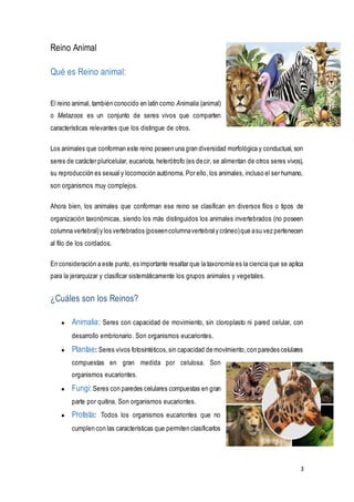 3
Reino Animal
Qué es Reino animal:
El reino animal, también conocido en latín como Animalia (animal)
o Metazoos es un conjunto de seres vivos que comparten
características relevantes que los distingue de otros.
Los animales que conforman este reino poseen una gran diversidad morfológica y conductual, son
seres de carácter pluricelular, eucariota, heterótrofo (es decir, se alimentan de otros seres vivos),
su reproducción es sexual y locomoción autónoma. Por ello, los animales, incluso el ser humano,
son organismos muy complejos.
Ahora bien, los animales que conforman ese reino se clasifican en diversos filos o tipos de
organización taxonómicas, siendo los más distinguidos los animales invertebrados (no poseen
columna vertebral)y los vertebrados (poseencolumnavertebraly cráneo)que asu vez pertenecen
al filo de los cordados.
En consideración a este punto, es importante resaltar que la taxonomía es la ciencia que se aplica
para la jerarquizar y clasificar sistemáticamente los grupos animales y vegetales.
¿Cuáles son los Reinos?
● Animalia: Seres con capacidad de movimiento, sin cloroplasto ni pared celular, con
desarrollo embrionario. Son organismos eucariontes.
● Plantae: Seres vivos fotosintéticos,sin capacidad de movimiento,con paredes celulares
compuestas en gran medida por celulosa. Son
organismos eucariontes.
● Fungi:Seres con paredes celulares compuestas en gran
parte por quitina. Son organismos eucariontes.
● Protista: Todos los organismos eucariontes que no
cumplen con las características que permiten clasificarlos
 