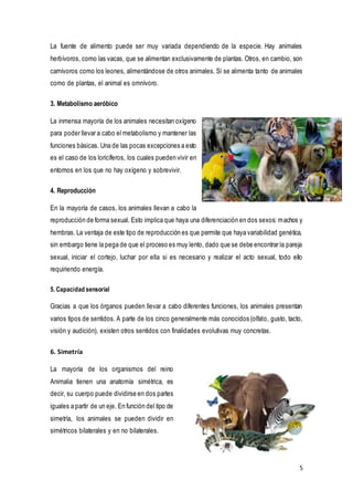 5
La fuente de alimento puede ser muy variada dependiendo de la especie. Hay animales
herbívoros, como las vacas, que se alimentan exclusivamente de plantas. Otros, en cambio, son
carnívoros como los leones, alimentándose de otros animales. Si se alimenta tanto de animales
como de plantas, el animal es omnívoro.
3. Metabolismo aeróbico
La inmensa mayoría de los animales necesitan oxígeno
para poder llevar a cabo el metabolismo y mantener las
funciones básicas. Una de las pocas excepciones a esto
es el caso de los loricíferos, los cuales pueden vivir en
entornos en los que no hay oxígeno y sobrevivir.
4. Reproducción
En la mayoría de casos, los animales llevan a cabo la
reproducción de forma sexual. Esto implica que haya una diferenciación en dos sexos: machos y
hembras. La ventaja de este tipo de reproducción es que permite que haya variabilidad genética,
sin embargo tiene la pega de que el proceso es muy lento, dado que se debe encontrar la pareja
sexual, iniciar el cortejo, luchar por ella si es necesario y realizar el acto sexual, todo ello
requiriendo energía.
5. Capacidad sensorial
Gracias a que los órganos pueden llevar a cabo diferentes funciones, los animales presentan
varios tipos de sentidos. A parte de los cinco generalmente más conocidos (olfato, gusto, tacto,
visión y audición), existen otros sentidos con finalidades evolutivas muy concretas.
6. Simetría
La mayoría de los organismos del reino
Animalia tienen una anatomía simétrica, es
decir, su cuerpo puede dividirse en dos partes
iguales a partir de un eje. En función del tipo de
simetría, los animales se pueden dividir en
simétricos bilaterales y en no bilaterales.
 