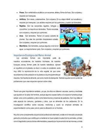 8
● Peces. Son vertebrados acuáticos con escamas,aletas y forma de huso. Son ovíparos y
respiran por branquias.
● Anfibios. Son ranas y salamandras. Son ovíparos. En su etapa infantil son acuáticos y
respiran por branquias. Los adultos respiran por los pulmones y suelen ser terrestres.
● Reptiles. Son las serpientes, lagartos, tortugas y
cocodrilos. La mayoría son terrestres. Tienen escamas,
son ovíparos y respiran por pulmones.
● Aves. Son terrestres. Tienen el cuerpo cubierto de
plumas. Sus alas les permiten desplazarse volando.
Son ovíparas y respiran por pulmones.
● Mamíferos. Son terrestres, aunque algunos viven en el
agua. La mayoría tienen pelo. Son vivíparos y respiran por pulmones.
Importancia Ecológica del Reino Animal
Los animales forman una importante parte de
nuestros ecosistemas, de nuestros biomasas, de nuestros
bosques, selvas, forman parte de nuestra naturaleza; ejercen
un equilibrio en el planeta, es decir, si estos no existieran, sería
muy difícil la reproducción de la vida vegetal, tal que como
recordaremos la fecundación en la planta se da principalmente por
insectos.Sonfuente de alimento,asícomo medio de transporte.Tambiénayudan conel controlde
poblaciones que unas especies ejercen sobre otras.
Tienen una gran importancia sanitaria, ya que, de ellos se obtienen vacunas, sueros y medicinas
que ayudan en la salud del hombre, aunque algunos causas daños a la especie humana porque
actúan unos como parásitos y otros como transmisores y reservas de parásitos. Son muy útiles en
este aspecto los zamuros, gavilanes y otros, que se alimentan de los cadáveres. En la
investigación científica sobre vacunas, medicinas y suero se emplean animales de
experimentación como paso previo para la utilización en el hombre.
Hoy día como complemento alapericiadelprofesionalveterinario,existe enel mercadounaamplia
gama de productos que contribuyen a mantener en buen estado la salud de los animales,primero
conel diagnóstico precoz delas enfermedades,pasandoporlaprevenciónde las mismas y siésta
 