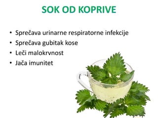 • Sprečava urinarne respiratorne infekcije
• Sprečava gubitak kose
• Leči malokrvnost
• Jača imunitet
 