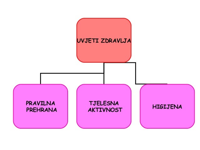 Slikovni rezultat za zdravlje