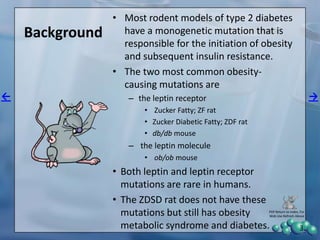Zucker Rats ZDSD Overview a model of obesity, metabolic syndrome and diabetes, 24 ...