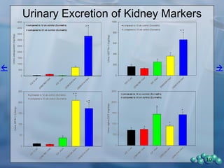 Urinary Excretion of Kidney Markers
10
 