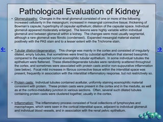 Urinary Excretion of Kidney Markers
11
 