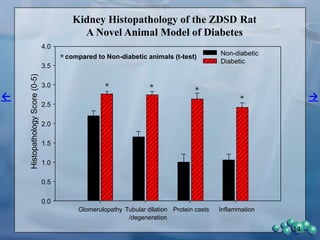 Kidney Histopathology of the ZDSD Rat
A Novel Animal Model of Diabetes
14
Glomerulopathy Tubular dilation Protein casts Inflammation
HistopathologyScore(0-5)
0.0
0.5
1.0
1.5
2.0
2.5
3.0
3.5
4.0
Non-diabetic
Diabetic
* * *
*
*compared to Non-diabetic animals (t-test)
/degeneration
 