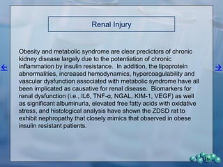 Experimental details
• Male ZDSD rats allowed to become spontaneously
diabetic.
• Animals were terminated and perfused fixed at about
35 weeks of age.
– Control CD rats
– ZDSD rats that had been diabetic from 12-13
weeks
– ZDSD rats that had been diabetic from 16-17
weeks
• Took pictures of glomerular capillaries and BM
– Measured GBM thickness
– Evaluated podocyte morphology
16
 