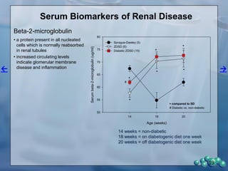 19
Glomerular Basement Membrane Thickness
Time of Diabetes in the ZDSD Rat
Thickness(mm)
CD Control 12 Weeks 16.5 Weeks
0
100
200
300
400
500
 