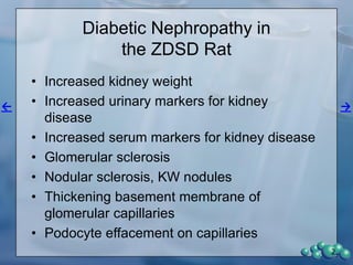 Obesity and metabolic syndrome are clear
predictors of chronic kidney disease largely due to
the potentiation of chronic inflammation by insulin
resistance. In addition, the lipoprotein
abnormalities, increased hemodynamics,
hypercoagulability and vascular dysfunction
associated with metabolic syndrome have all been
implicated as causative for renal disease.
Biomarkers for renal dysfunction (i.e., IL6, TNF-
α,NGAL,KIM-1, VEGF etc.) as well as significant
albuminuria , elevated free fatty acids with
oxidative stress, and histological analysis have
shown the ZDSD rat to exhibit nephropathy that
closely mimics that observed in obese insulin
resistant patients.
Renal Injury
2
 