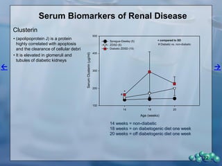 Experiment 4
Diabetic Nephropathy,
Synchronized Diabetes:
Clinical Data and
LM of Glomerular Pathology
22
 