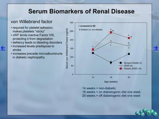 Experimental details
• Male ZDSD rats synchronized to become diabetic
by feeding them Purina 5SCA.
• Animals were put on 5SCA at 19 weeks of age
and were diabetic by 20 weeks of age. They were
monitored until they were 47 weeks old. We
evaluated the following groups:
– ZDSD rats that had been diabetic for 27 weeks
(14)
– ZDSD rats that failed to become diabetic (4)
• Graphed terminal data and evaluated pictures of
glomeruli and other kidney pathology
23
 