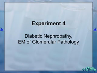 24
Body weight
0
7
14
21
28
35
42
70
105
126
155
172
185
196
350
400
450
500
550
600 Diabetic
Non-diabetic
Day of study
Bodyweight(g)
Glucose
0
7
14
21
28
35
42
70
105
126
155
172
0
200
400
600
800
Diabetic
Non-diabetic
Day of study
Glucose(mg/dL)
Diabetic
Non-diabetic
43 47
0
5
10
15
* t-test
**
Age (weeks)
HbA1c(%)
HbA1c
43
0.0
0.2
0.4
0.6
0.8
1.0
Diabetic
Non-diabetic
Age (weeks)
NEFA(mEq/L)
NEFA
 