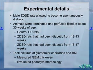 25
Diabetic Non-diabetic
0
5
10
15
20
25 Diabetic
Non-diabetic
*
* t-test
Liverweight(g)
47weeksofage
Liver Weight
Diabetic Non-diabetic
0
2
4
6
Diabetic
Non-diabetic
Kidneyweight(g)
47weeksofage
* t-test
*
Kidney Weight
43 47
0
100
200
300
Diabetic
Non-diabetic
Age (weeks)
Urinevolume(mls/24hr)
Urine Volume
43
0
20
40
60
80
Diabetic
Non-diabetic
*
* t-test
Age (weeks)
Urinealbumin(mg/day)
Urinary Albumin
 