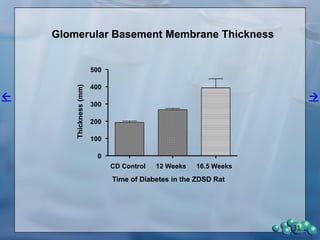 Follow-up study, Synchronized
• Diabetes was induced by putting ZDSD rats on
5SCA diet when they were 21 weeks of age.
This can be done anytime after 16 weeks of age.
• Weight and glucose were followed periodically.
• 24 hour urine was collected and urinary albumin
and creatinine were measured so that total 24
hour albumin and albumin/creatinine ratios could
be determined.
• Terminal data were collected when the rats had
been diabetic 13-14 weeks.
31
 