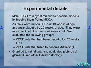 Glyoxalase 1 (GLO-1) down regulated in Diabetic Nephropathy
observed in the ZDSD Rat Glomerulus
37
 