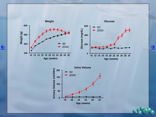 Experiment 1
ZDSD Diabetic Nephropathy
Spontaneous Diabetes
ELISA Analysis of Markers
5
 