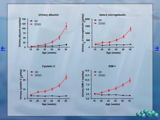 6
Weight
10 12 14 16 18 20 22 24 26 28 30
300
400
500
600
SD
ZDSD
Age (weeks)
Weight(g) Glucose
10 12 14 16 18 20 22 24 26 28 30
0
200
400
600
SD
ZDSD
Age (weeks)
Glucose(mg/dL)
Urine Volume
10 20 22 24 26 30
0
50
100
150
200
SD
ZDSD
Age (weeks)
UrinaryVolume(ml/24hr)
 