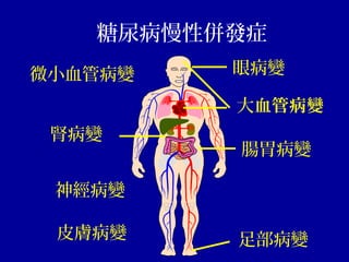 微小血管病變 眼病變
大血管病變
足部病變
腎病變
腸胃病變
神經病變
皮膚病變
糖尿病慢性併發症
 