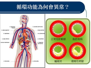 循環功能為何會異常？
 